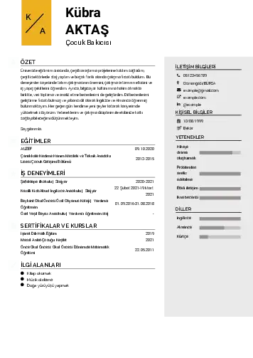 Çocuk Bakıcısı CV Örnekleri cv indir
